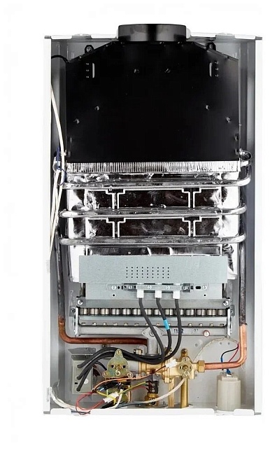 Водонагреватель газовый ARIDEYA JSD 20 G1 (P) Пионы