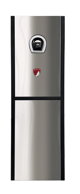 Котел газовый настенный Federica Bugatti 32 Combi VARME со встроенным бойлером посл.нагр.